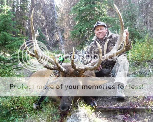 09Elk.jpg