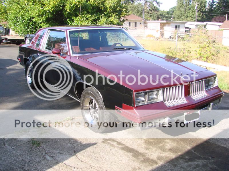 Dlo253's 84 Cutlass Build/Progress. GBody Nation C.C. GBodyForum
