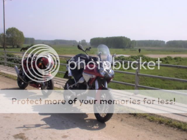 http://i381.photobucket.com/albums/oo253/Guzzila/DSC00519.jpg