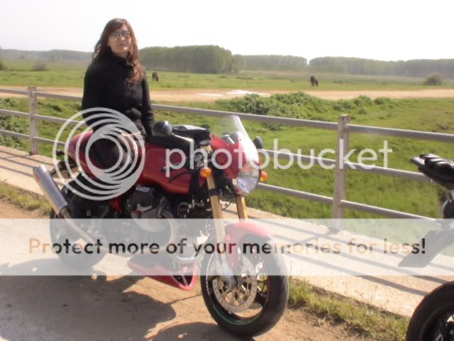 http://i381.photobucket.com/albums/oo253/Guzzila/DSC00531.jpg
