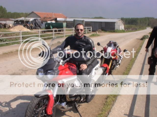 http://i381.photobucket.com/albums/oo253/Guzzila/DSC00532.jpg