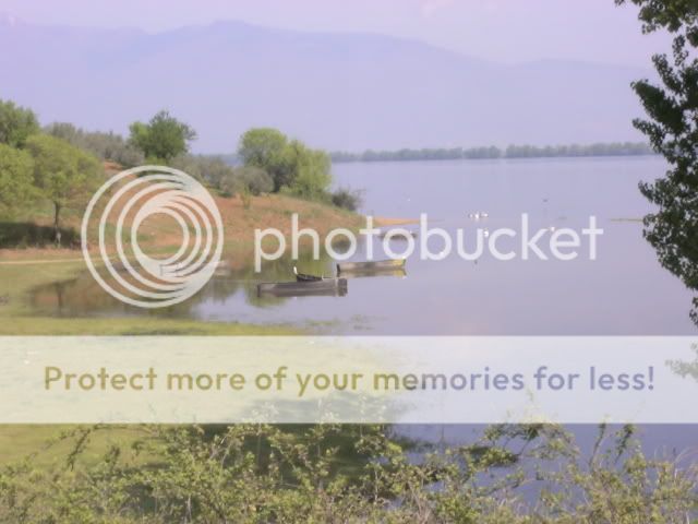 http://i381.photobucket.com/albums/oo253/Guzzila/DSC00534.jpg