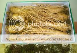 Chuyên Linh chi hàn quốc, nhân sâm tươi 6 năm tuổi giá cả và chất lượng tốt nhất - 1