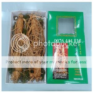 Chuyên Linh chi hàn quốc, nhân sâm tươi 6 năm tuổi giá cả và chất lượng tốt nhất - 2