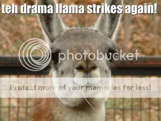 drama_llama.jpg