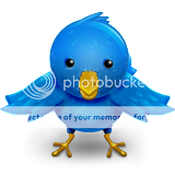 Twitter Bird Pictures, Images and Photos