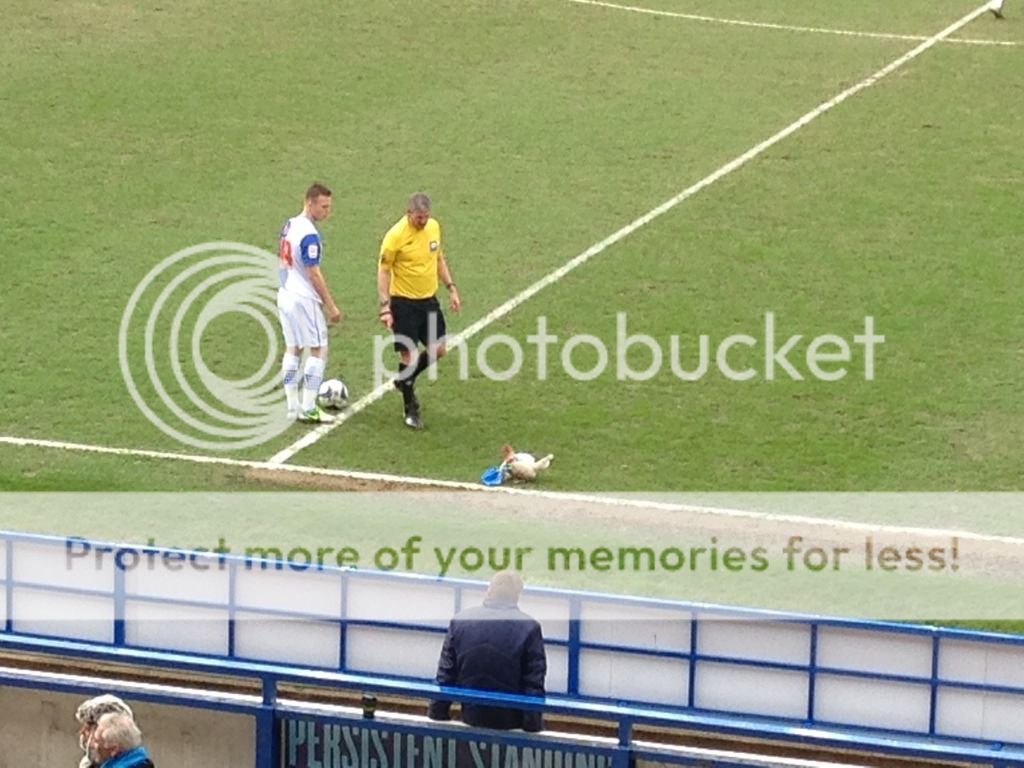 AB106A37-1528-4D17-961C-03BA2BA78341-788