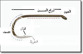 نقرتين لعرض الصورة في صفحة مستقلة نقرتين لعرض الصورة في صفحة مستقلة