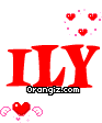 Orangiz Comment Codes