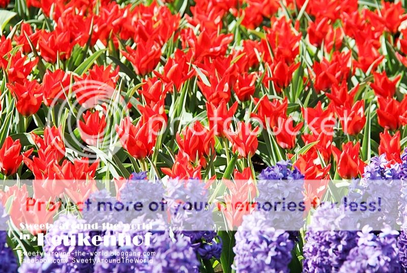 photo s8_2943_zps2f0ca9e0.jpg