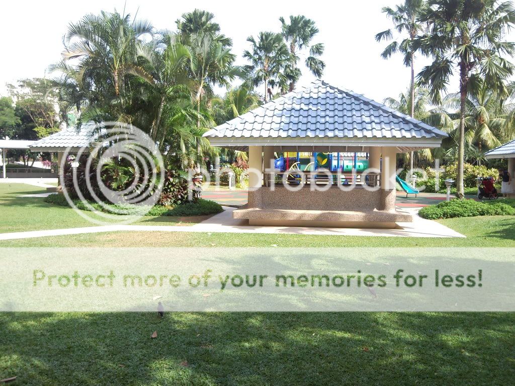 topic về những hình ảnh chụp bằng điện thoại di động