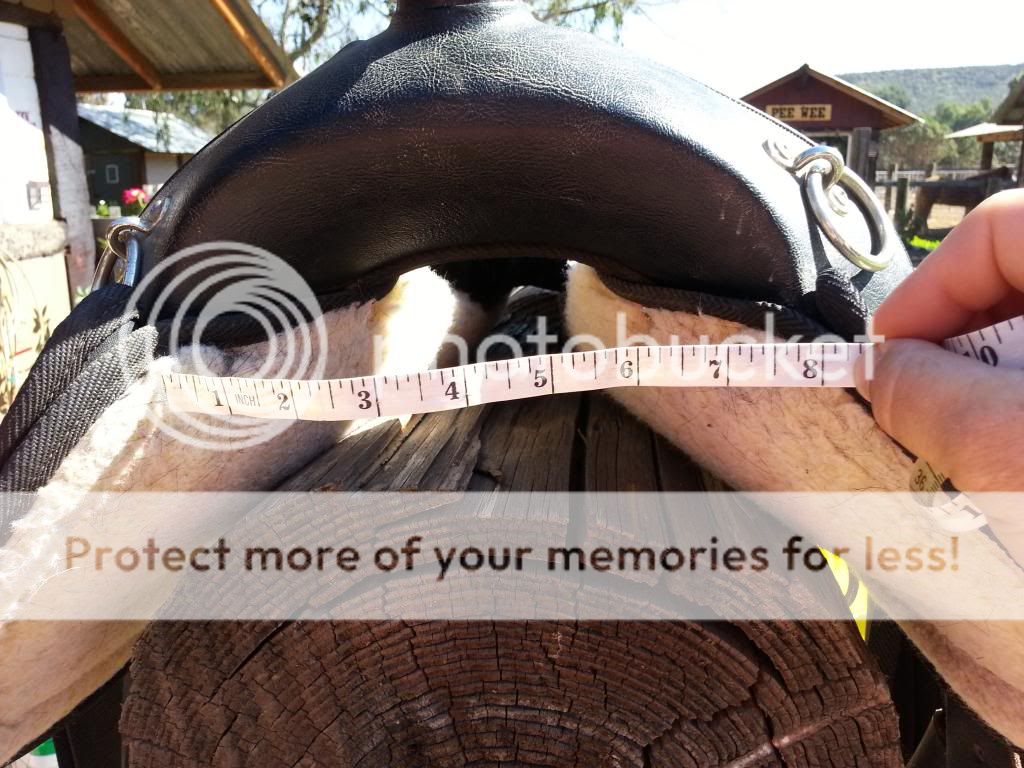 Saddle fit/Full or Semi QH Bars? Page 2 The Horse Forum