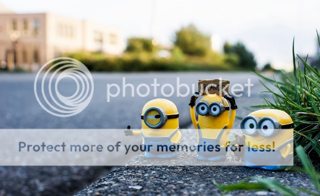 Fotografie